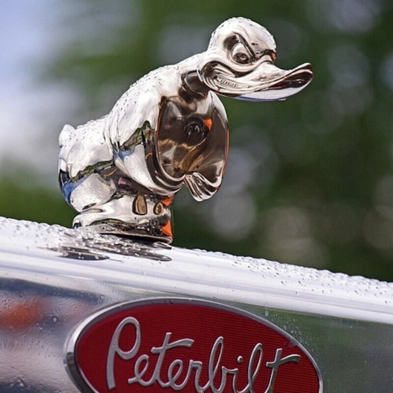 Hood Angry Duck Car Front Orna - Art Craft Duck 评论和价格