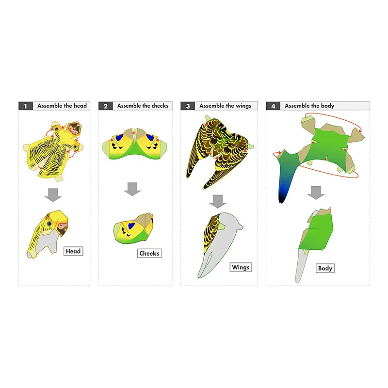 Budgerigar Parrot Bird Handmad - Art Craft Cardboard 评论和价格