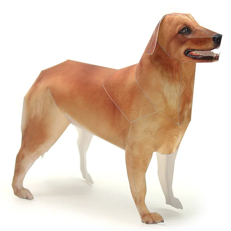 Golden Retriever Dog Paper Mod - Art Craft Cardboard 评论和价格