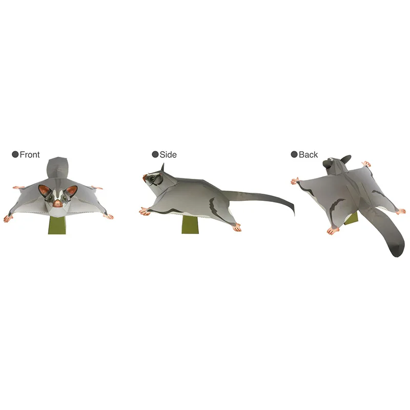 Sugar Glider Flying Mouse Hand - Art Craft Cardboard 评论和价格
