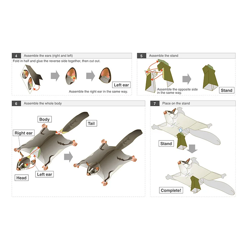 Sugar Glider Flying Mouse Hand - Art Craft Cardboard 评论和价格