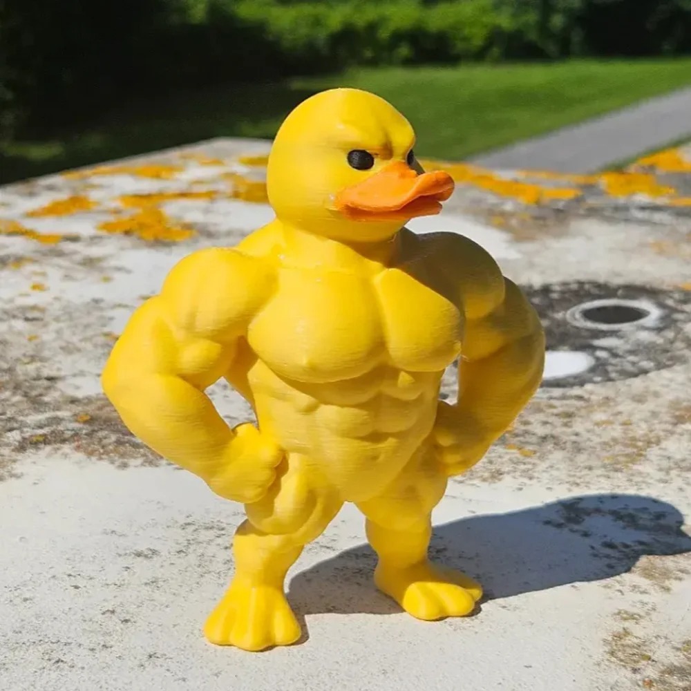 Muscle Duck Statue -3D Desktop - Art Craft Duck 评论和价格