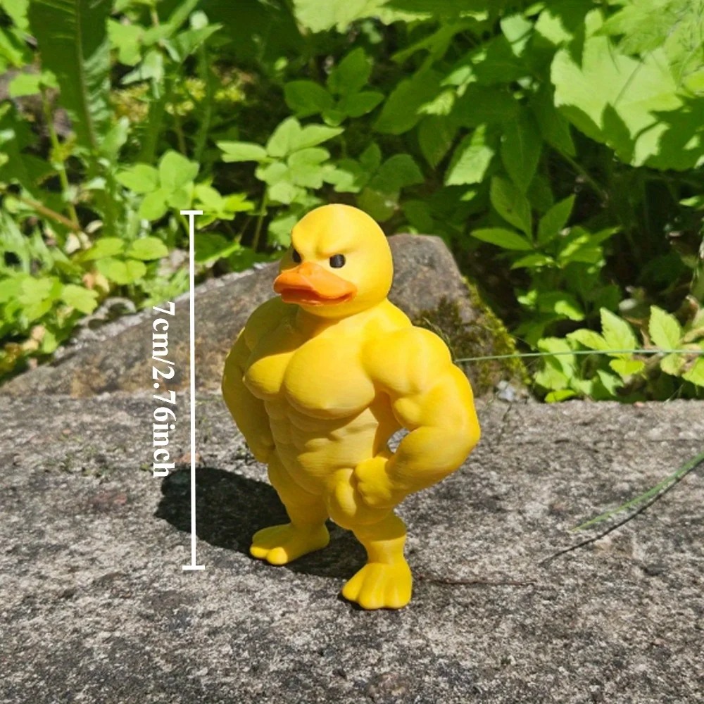 Muscle Duck Statue -3D Desktop - Art Craft Duck 评论和价格