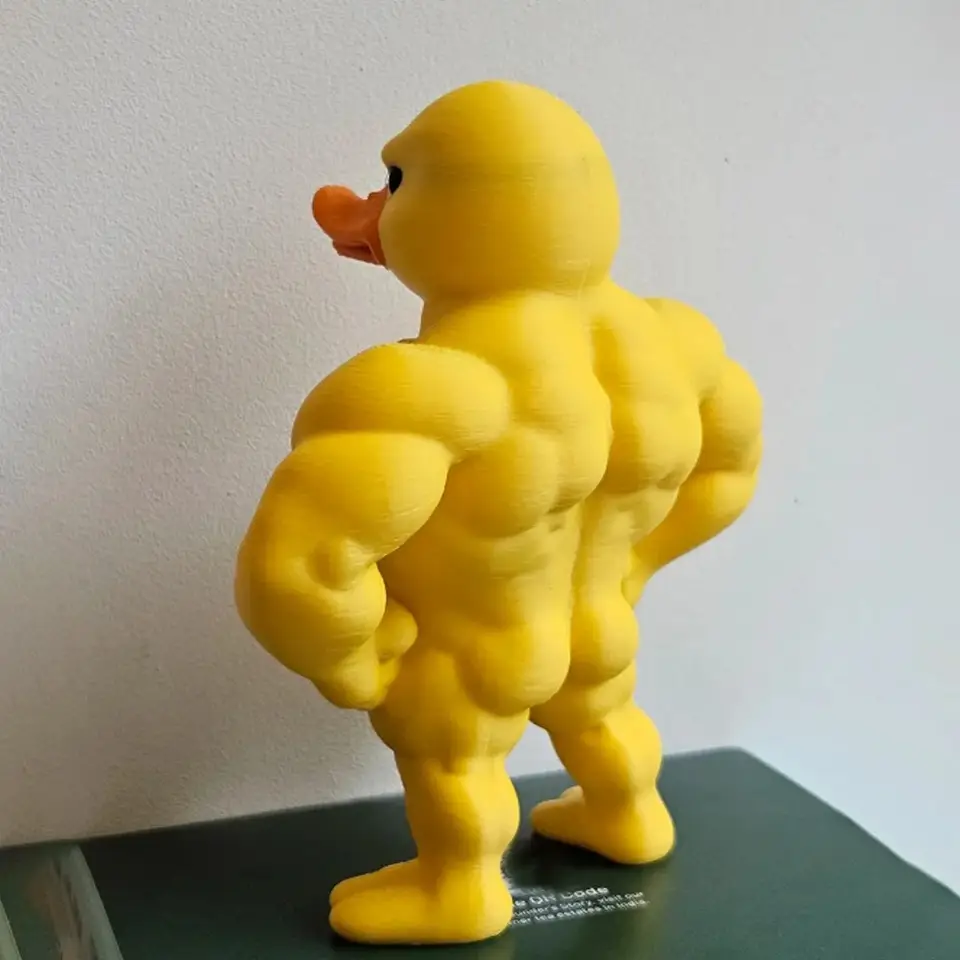 3/1Pcs Muscle/Angry Duck Statu - Art Craft Duck 评论和价格